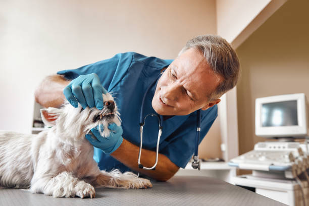 Best Emergency Dentist for Knocked-Out Tooth in Blackwell, OK